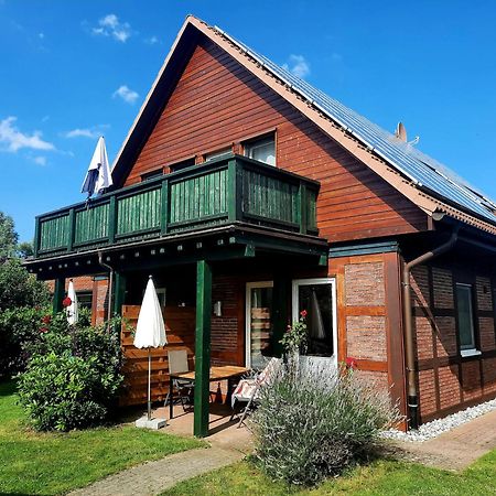 Ferienhaus Sasse Ferienwohnungen Mit Garten & Grill Molschow Екстер'єр фото